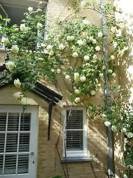 Hotel Ter Duinen